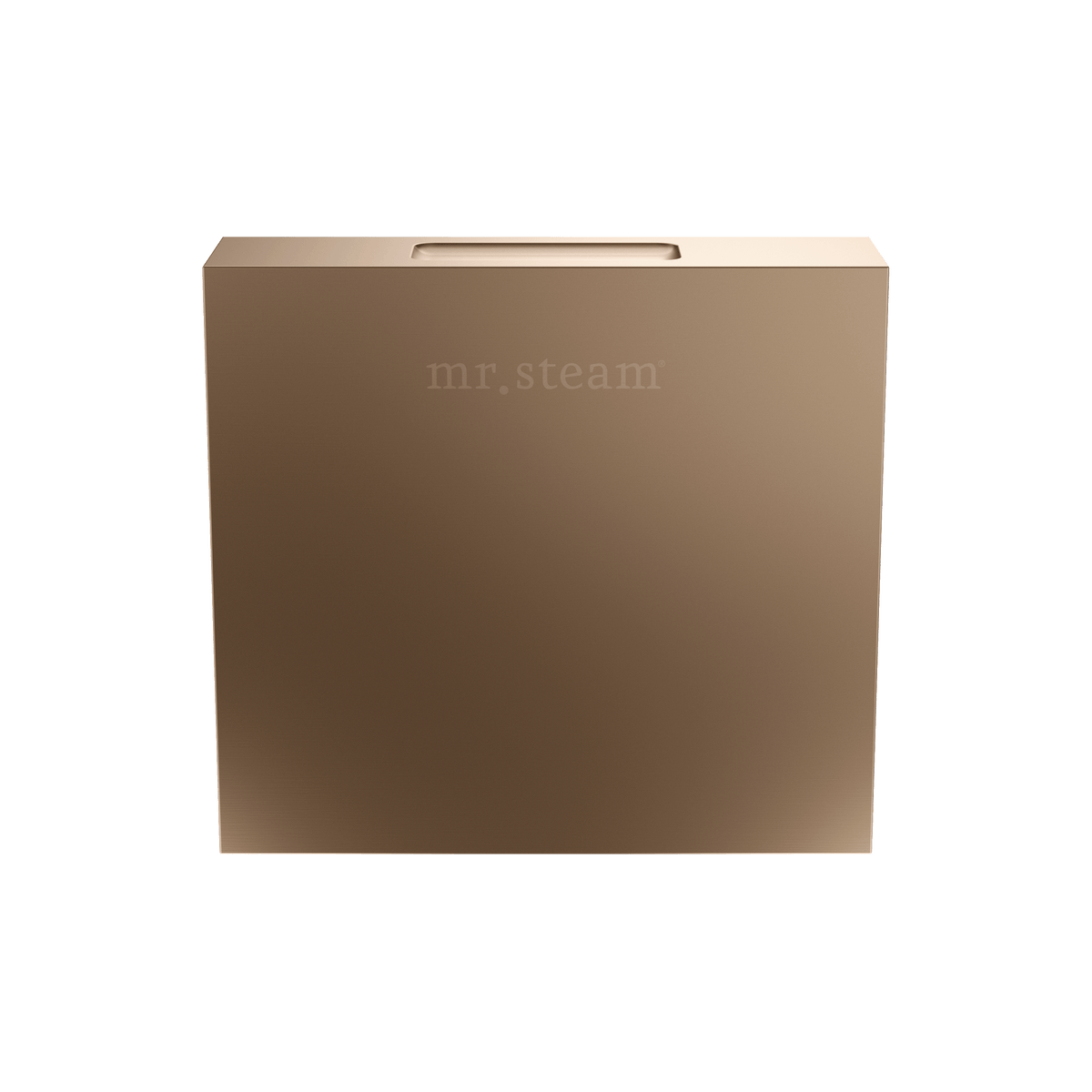 Mr. Steam Designer 3 in. Steamhead with AromaTherapy Reservoir – Round or Square, 8 Designer Finishes (104515/104516)