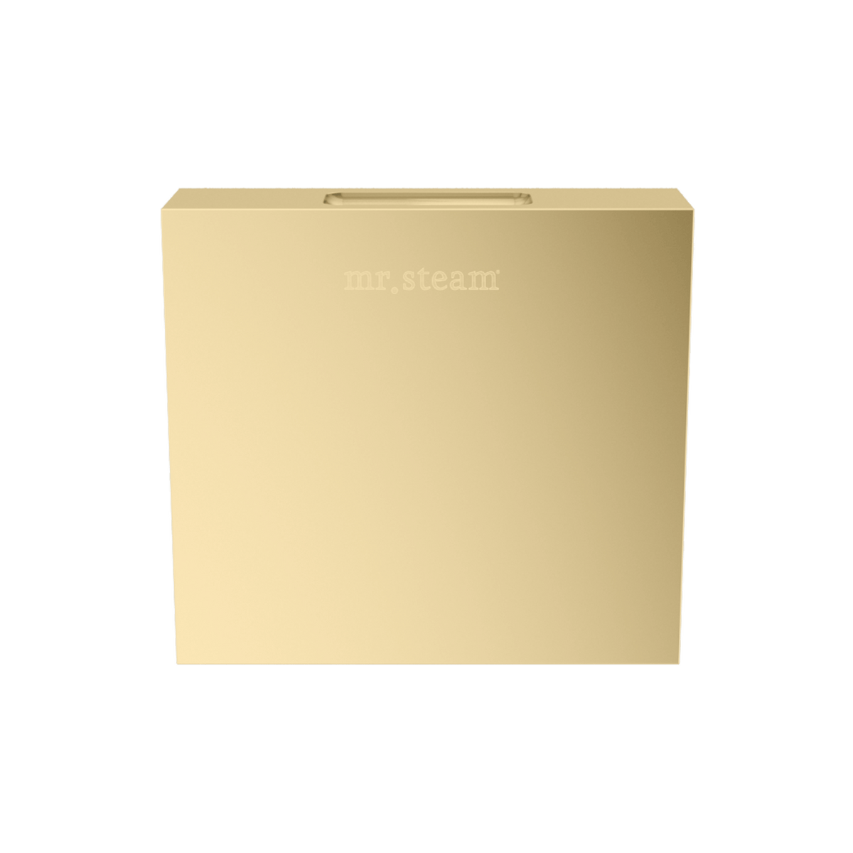 Mr. Steam Designer 3 in. Steamhead with AromaTherapy Reservoir – Round or Square, 8 Designer Finishes (104515/104516)