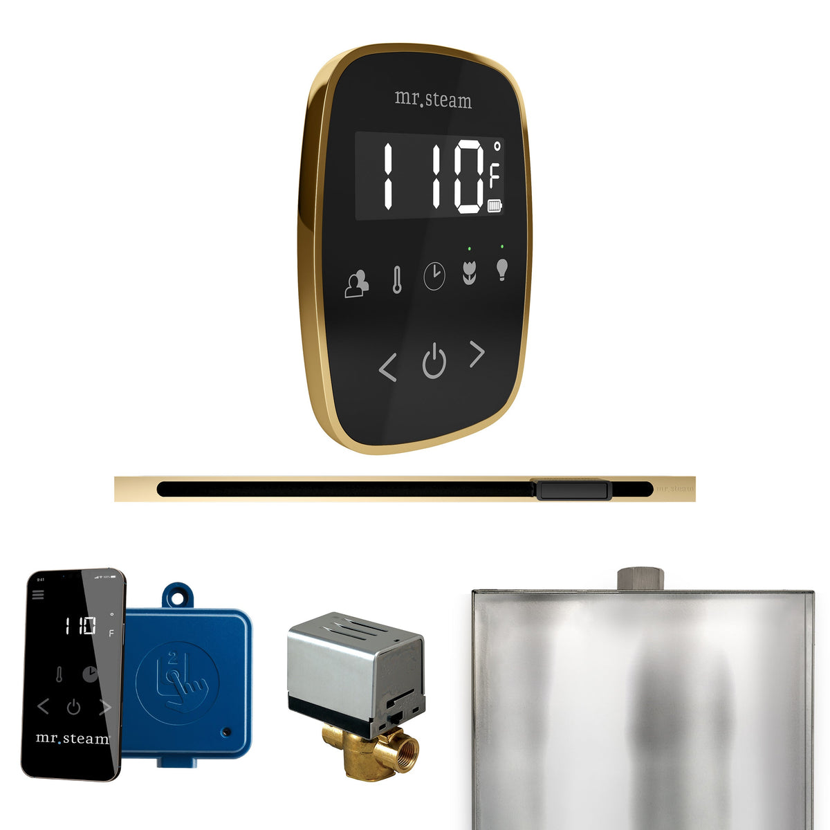 Mr. Steam ButlerFlex Linear Steam Shower Control Package – Wireless TempoFlex Control, Linear Steamhead & AutoFlush for MS & Super Generators