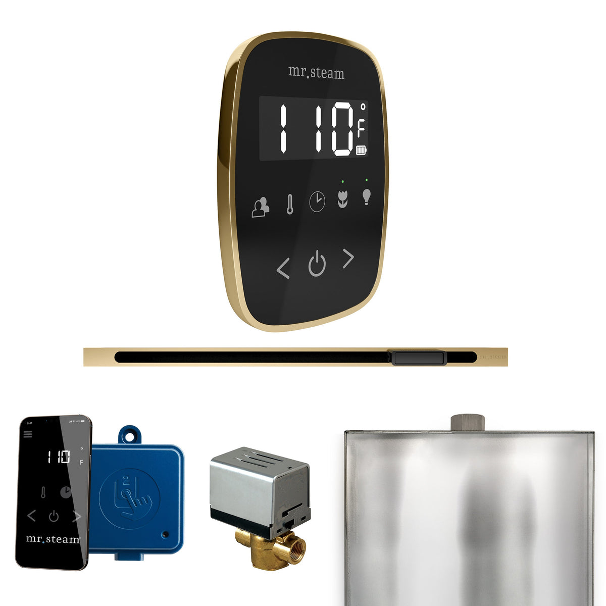 Mr. Steam ButlerFlex Linear Steam Shower Control Package – Wireless TempoFlex Control, Linear Steamhead & AutoFlush for MS & Super Generators