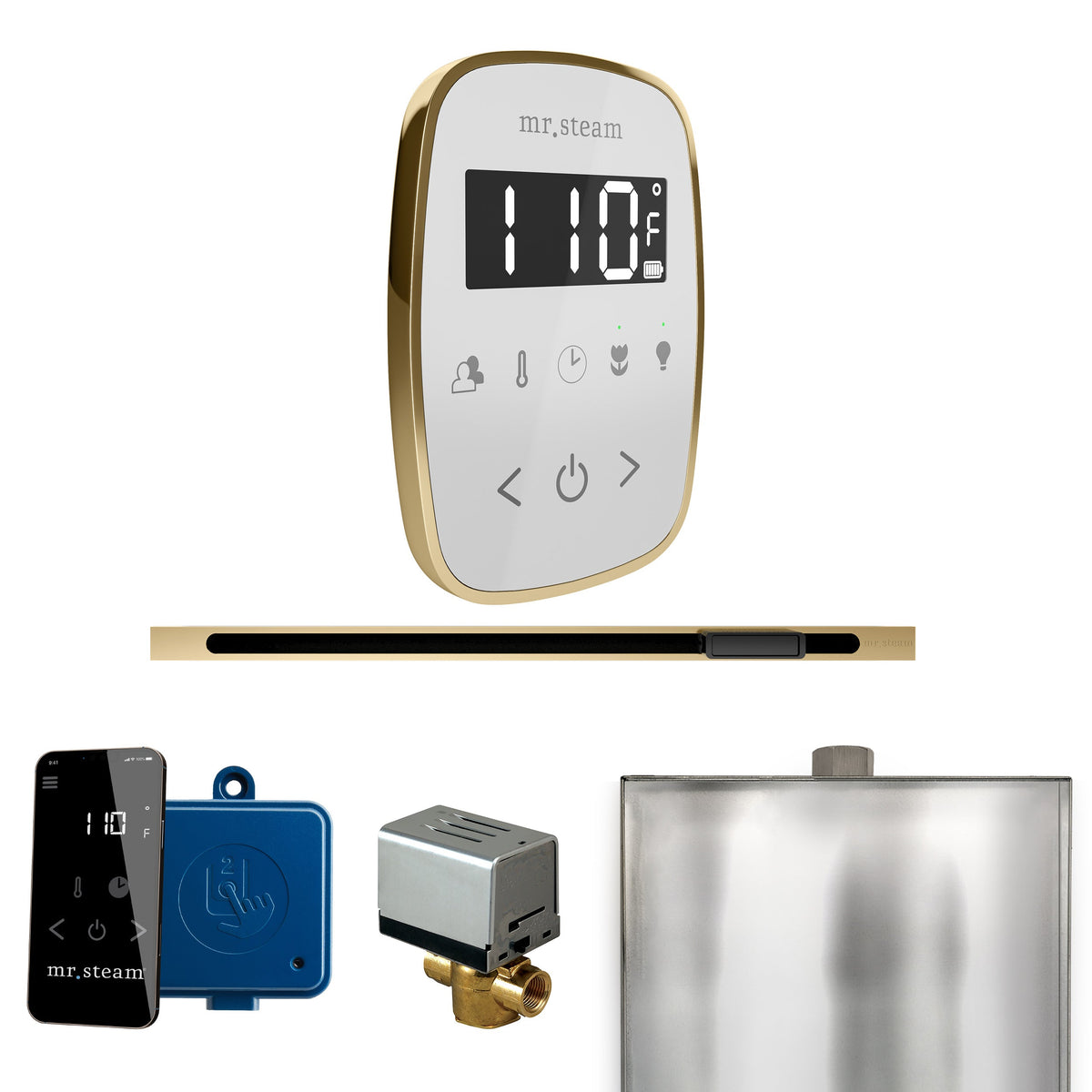 Mr. Steam ButlerFlex Linear Steam Shower Control Package – Wireless TempoFlex Control, Linear Steamhead & AutoFlush for MS & Super Generators