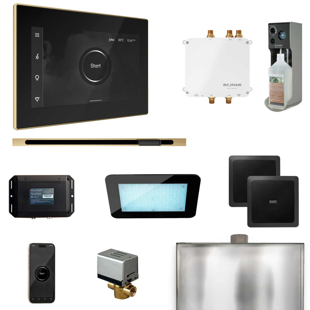 Mr. Steam Bliss Linear Steam Shower Package – iSteamX, Linear Steamhead, AudioX, ChromaSteam, AromaSteam & SpaH2O Valve for MS & Super Generators