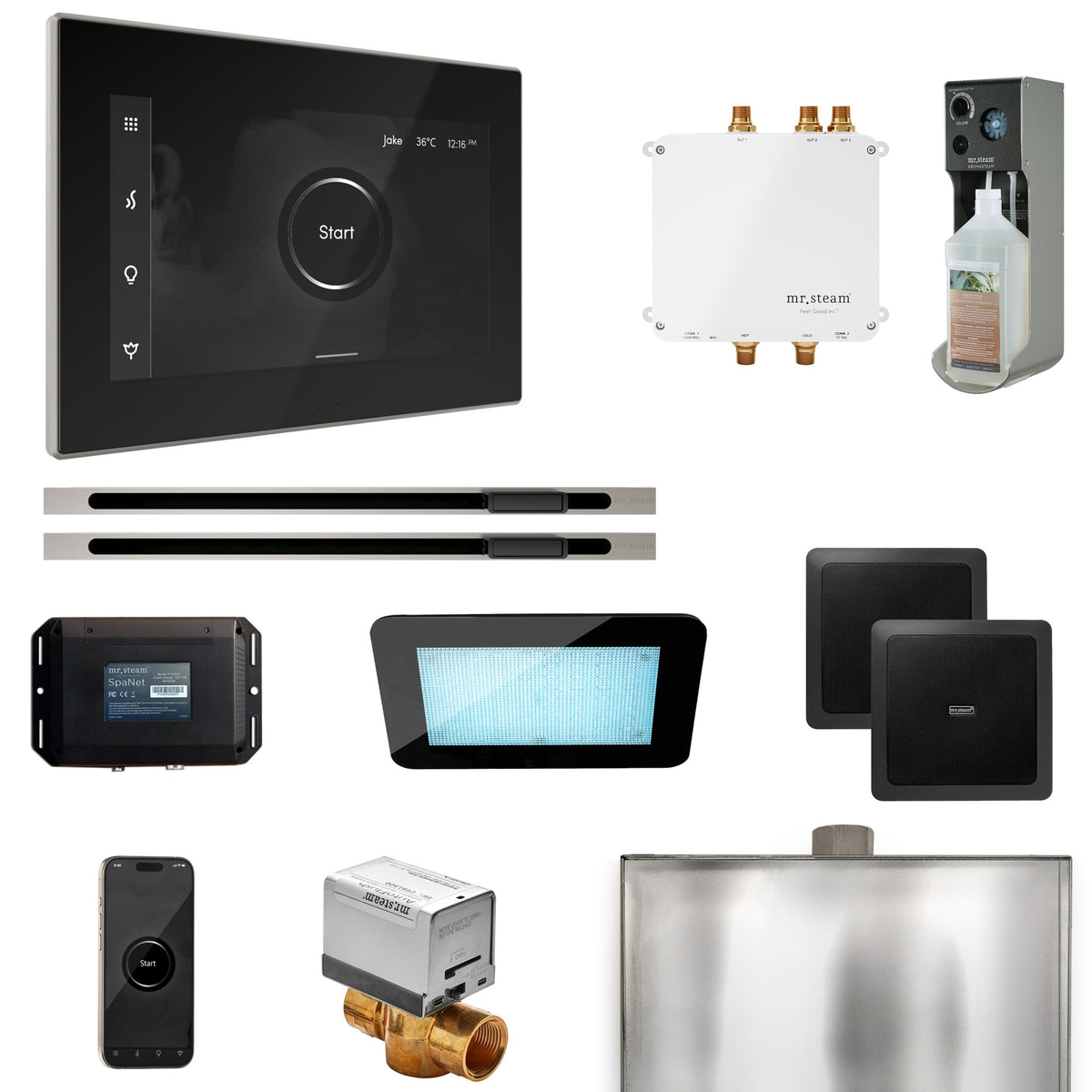 Mr. Steam Bliss Max Linear Steam Shower Package – iSteamX, Linear Steamhead, AudioX, ChromaSteam, AromaSteam & SpaH2O Valve for Max Generators