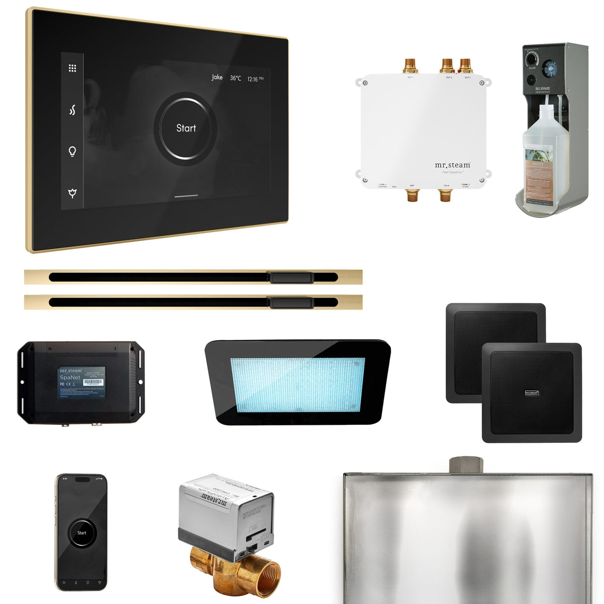 Mr. Steam Bliss Max Linear Steam Shower Package – iSteamX, Linear Steamhead, AudioX, ChromaSteam, AromaSteam & SpaH2O Valve for Max Generators