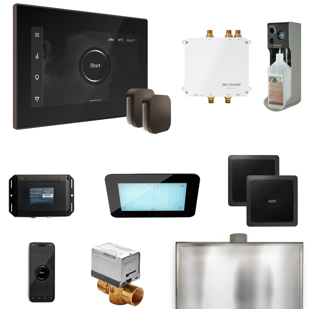 Mr. Steam Bliss Max Steam Shower Package – iSteamX, Aroma Steamhead, AudioX, ChromaSteam, AromaSteam & SpaH2O Valve for Max Generators