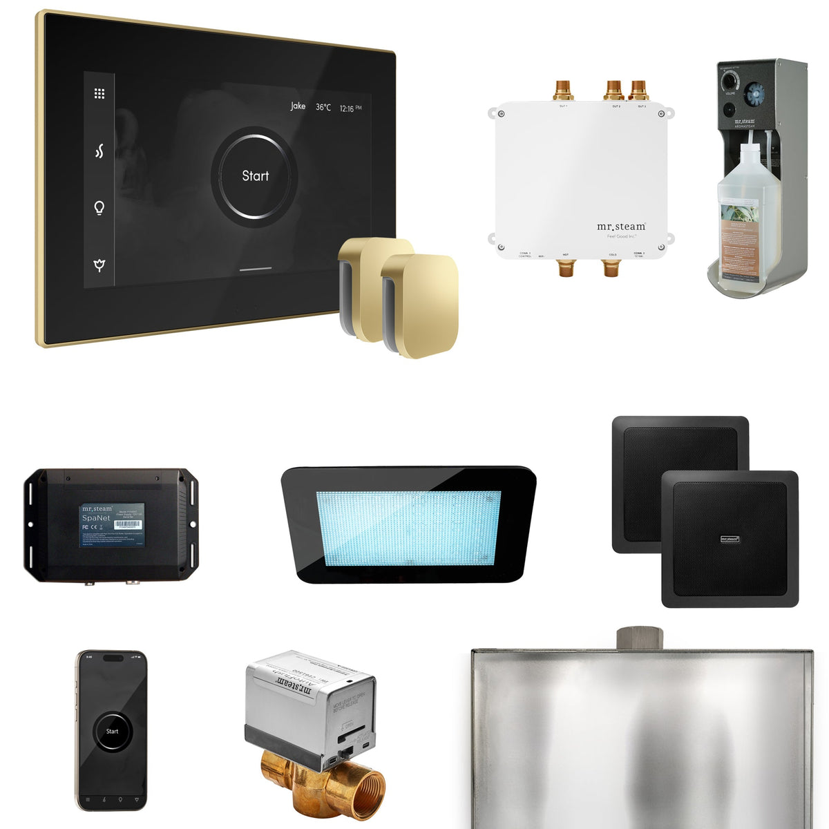Mr. Steam Bliss Max Steam Shower Package – iSteamX, Aroma Steamhead, AudioX, ChromaSteam, AromaSteam & SpaH2O Valve for Max Generators