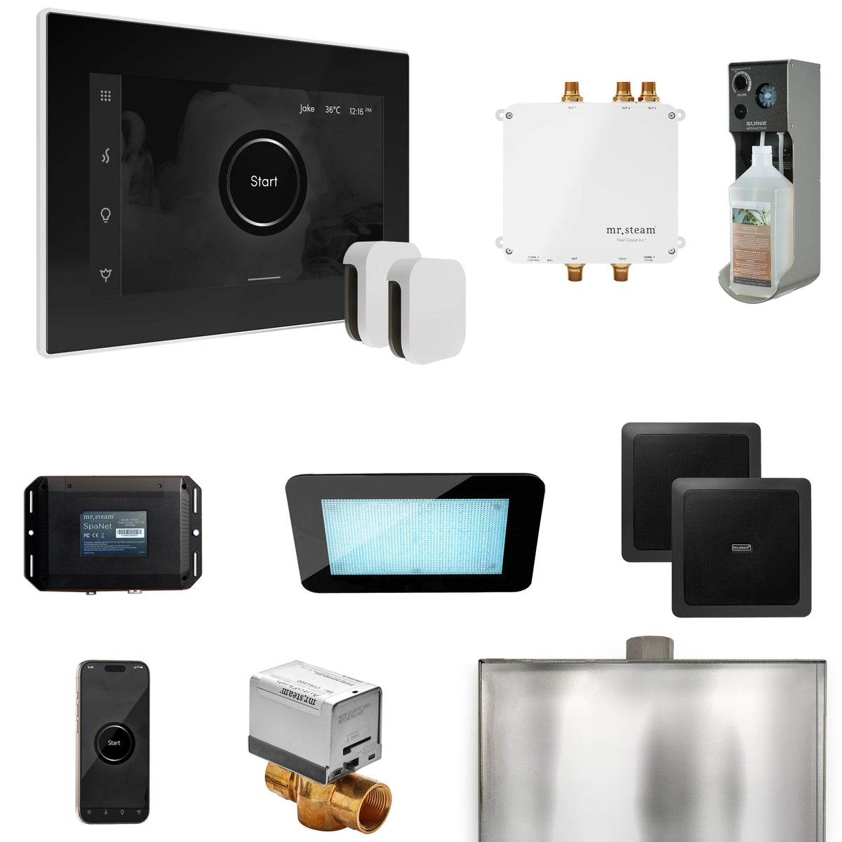 Mr. Steam Bliss Max Steam Shower Package – iSteamX, Aroma Steamhead, AudioX, ChromaSteam, AromaSteam & SpaH2O Valve for Max Generators