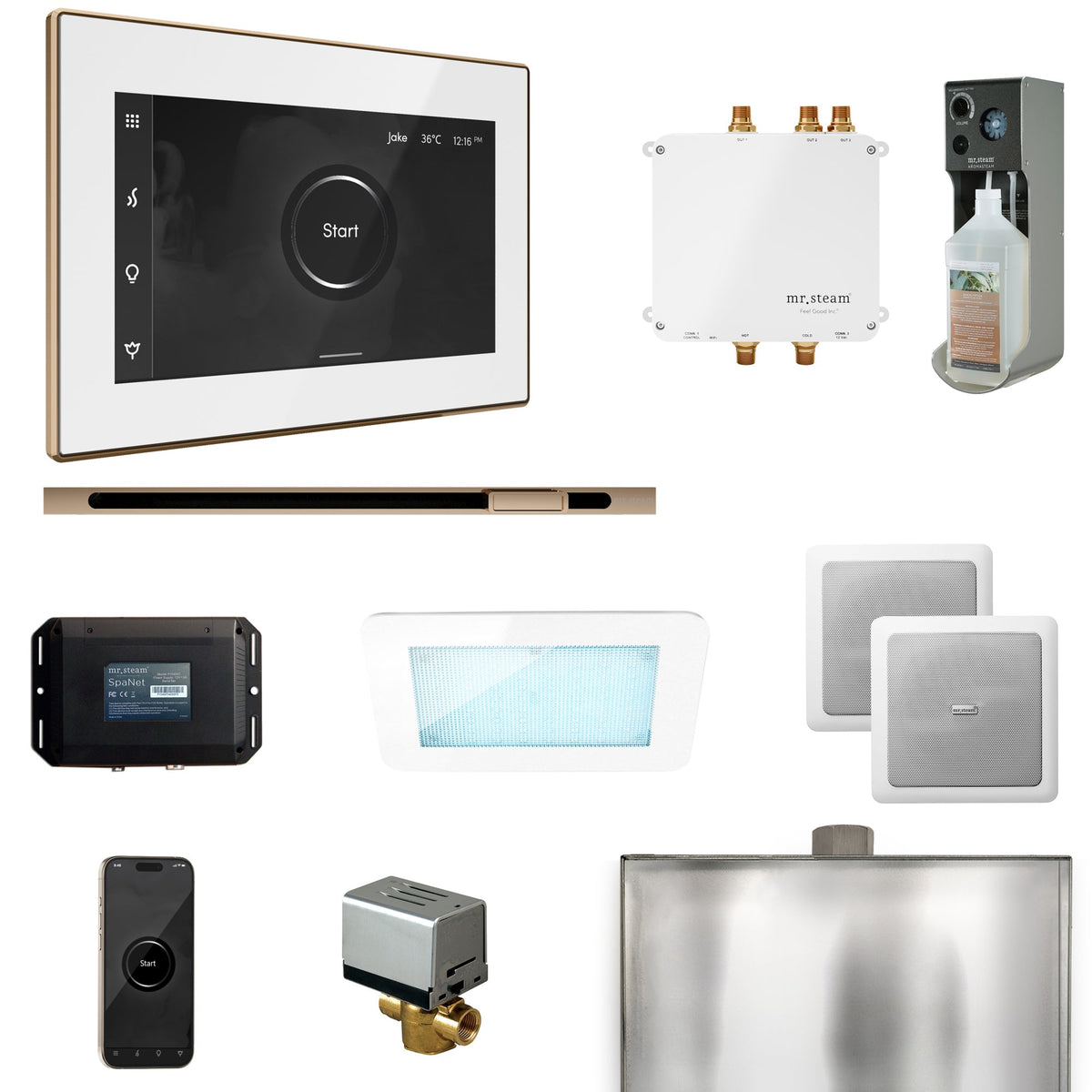 Mr. Steam Bliss Linear Steam Shower Package – iSteamX, Linear Steamhead, AudioX, ChromaSteam, AromaSteam & SpaH2O Valve for MS & Super Generators