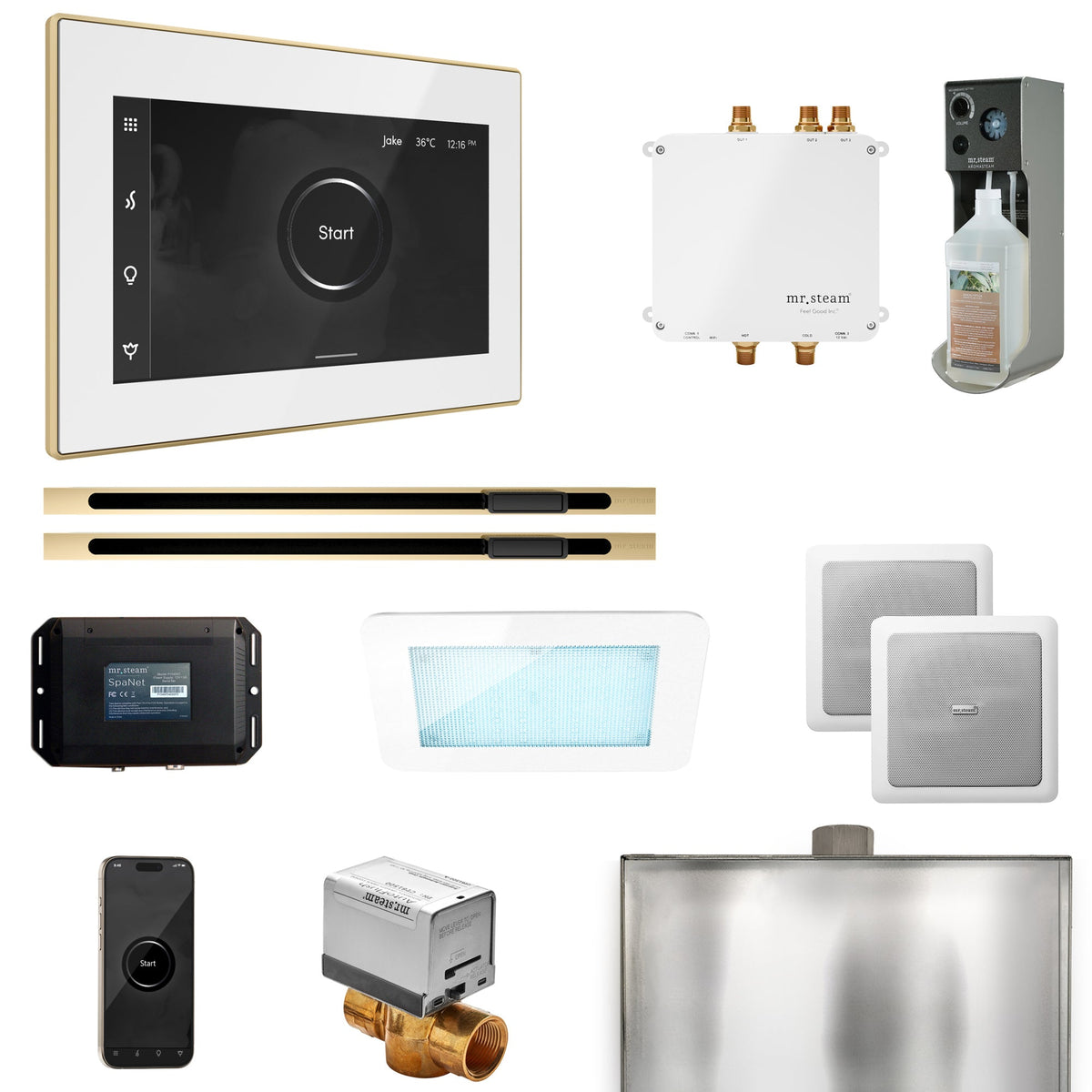 Mr. Steam Bliss Max Linear Steam Shower Package – iSteamX, Linear Steamhead, AudioX, ChromaSteam, AromaSteam & SpaH2O Valve for Max Generators