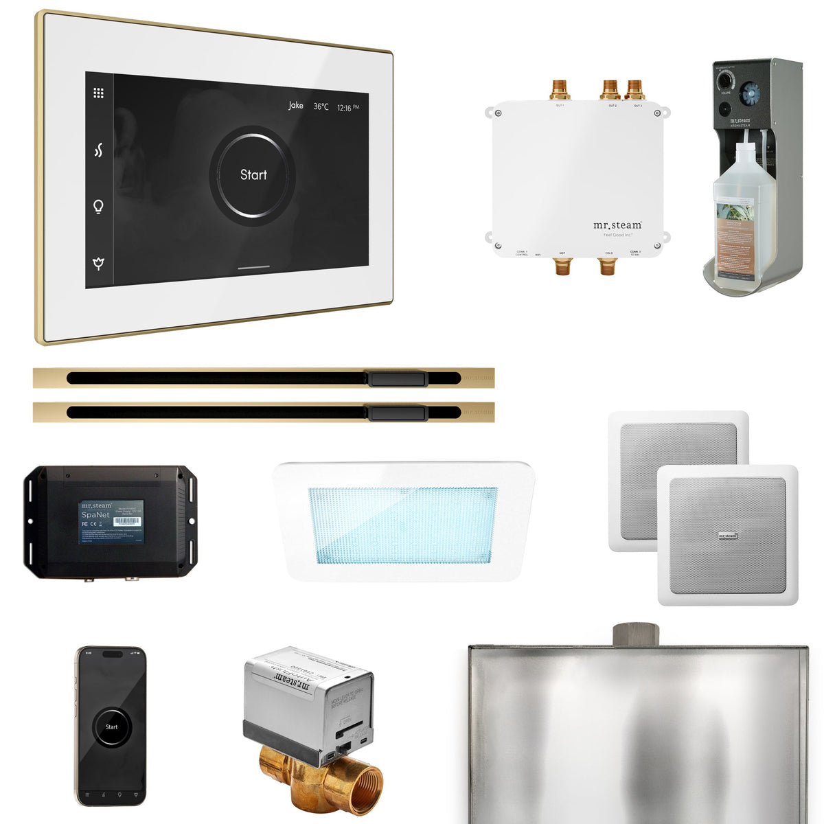 Mr. Steam Bliss Max Linear Steam Shower Package – iSteamX, Linear Steamhead, AudioX, ChromaSteam, AromaSteam & SpaH2O Valve for Max Generators