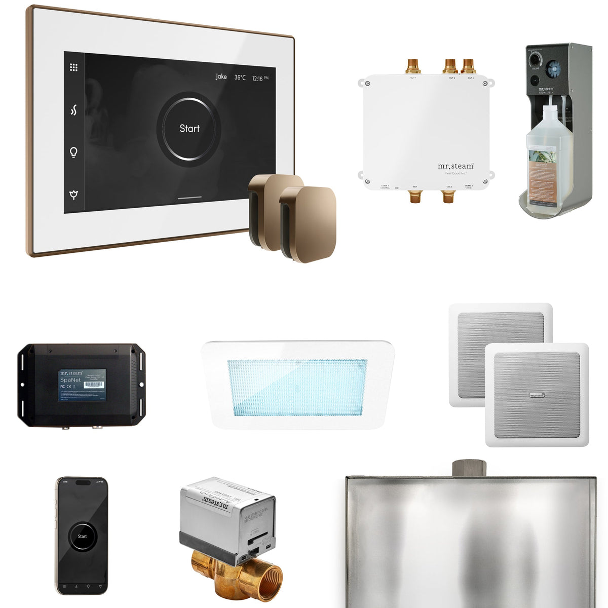 Mr. Steam Bliss Max Steam Shower Package – iSteamX, Aroma Steamhead, AudioX, ChromaSteam, AromaSteam & SpaH2O Valve for Max Generators
