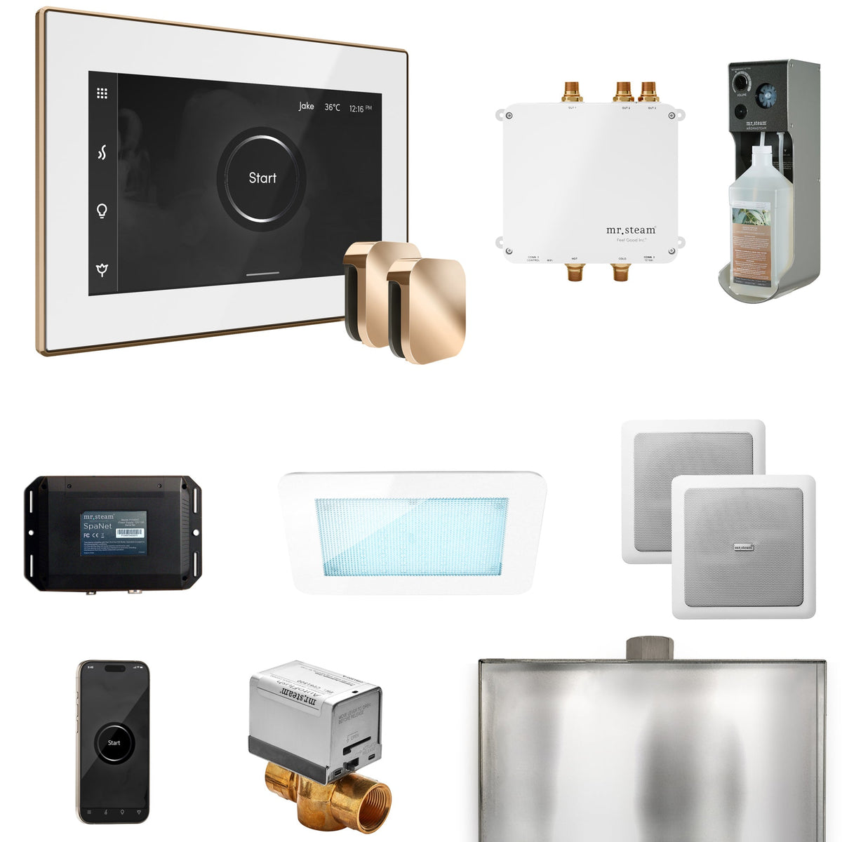 Mr. Steam Bliss Max Steam Shower Package – iSteamX, Aroma Steamhead, AudioX, ChromaSteam, AromaSteam & SpaH2O Valve for Max Generators