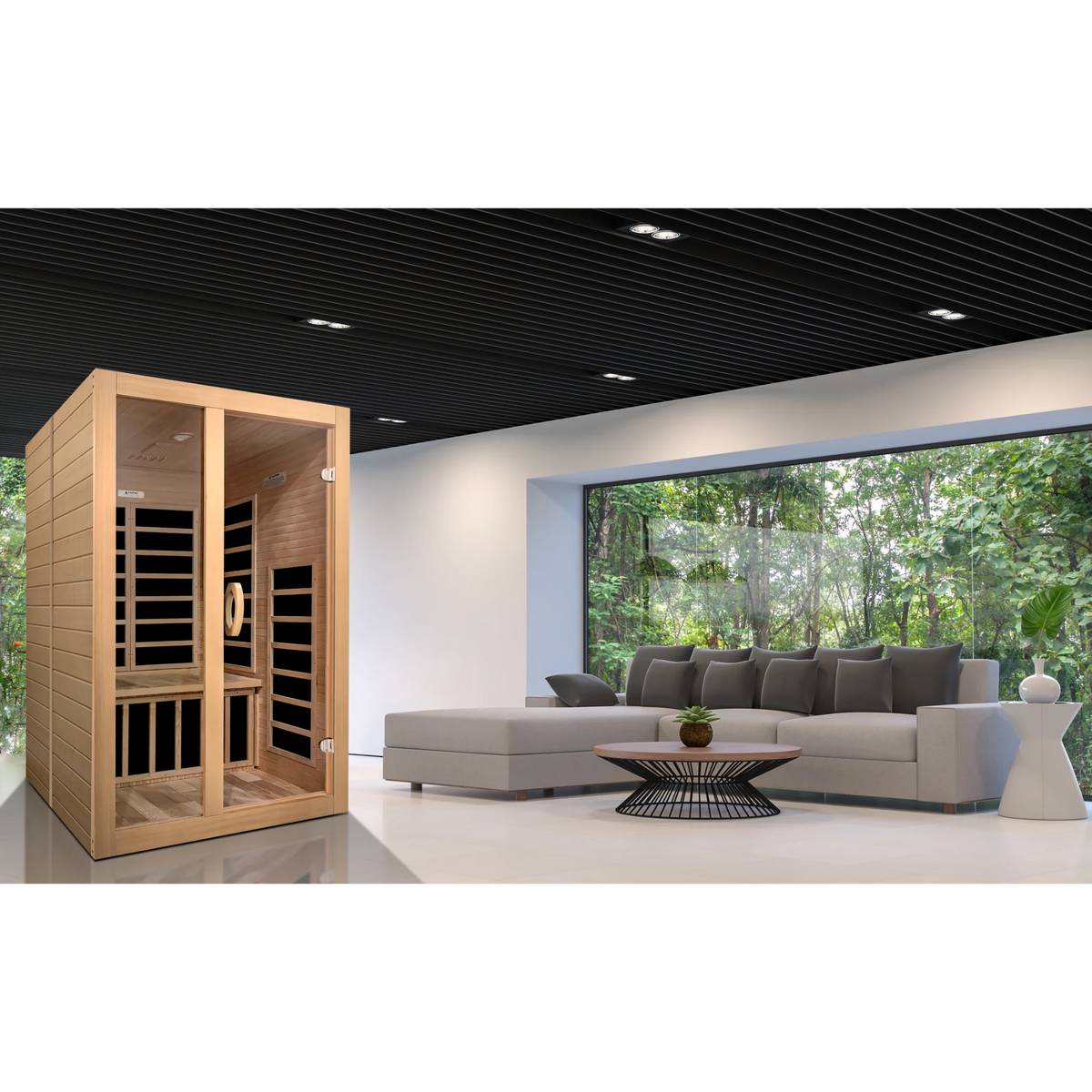 Dynamic Santiago 2 Person Infrared Sauna, Low EMF FAR Infrared, Indoor, Canadian Hemlock, DYN-6209-01