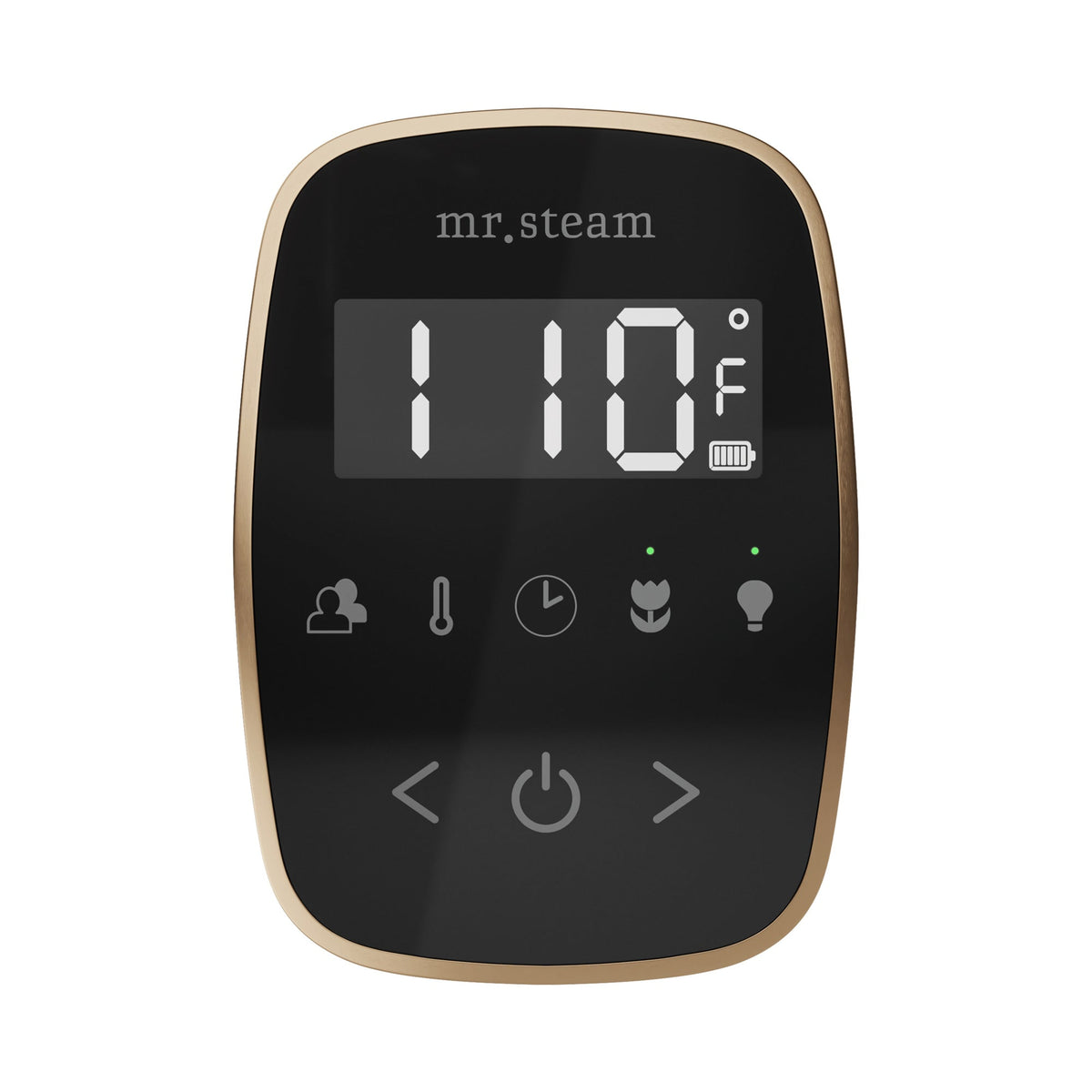 Mr. Steam TempoFlex Wireless Steam Shower Control and Steamhead – Black Control, 8 Steamhead Finishes