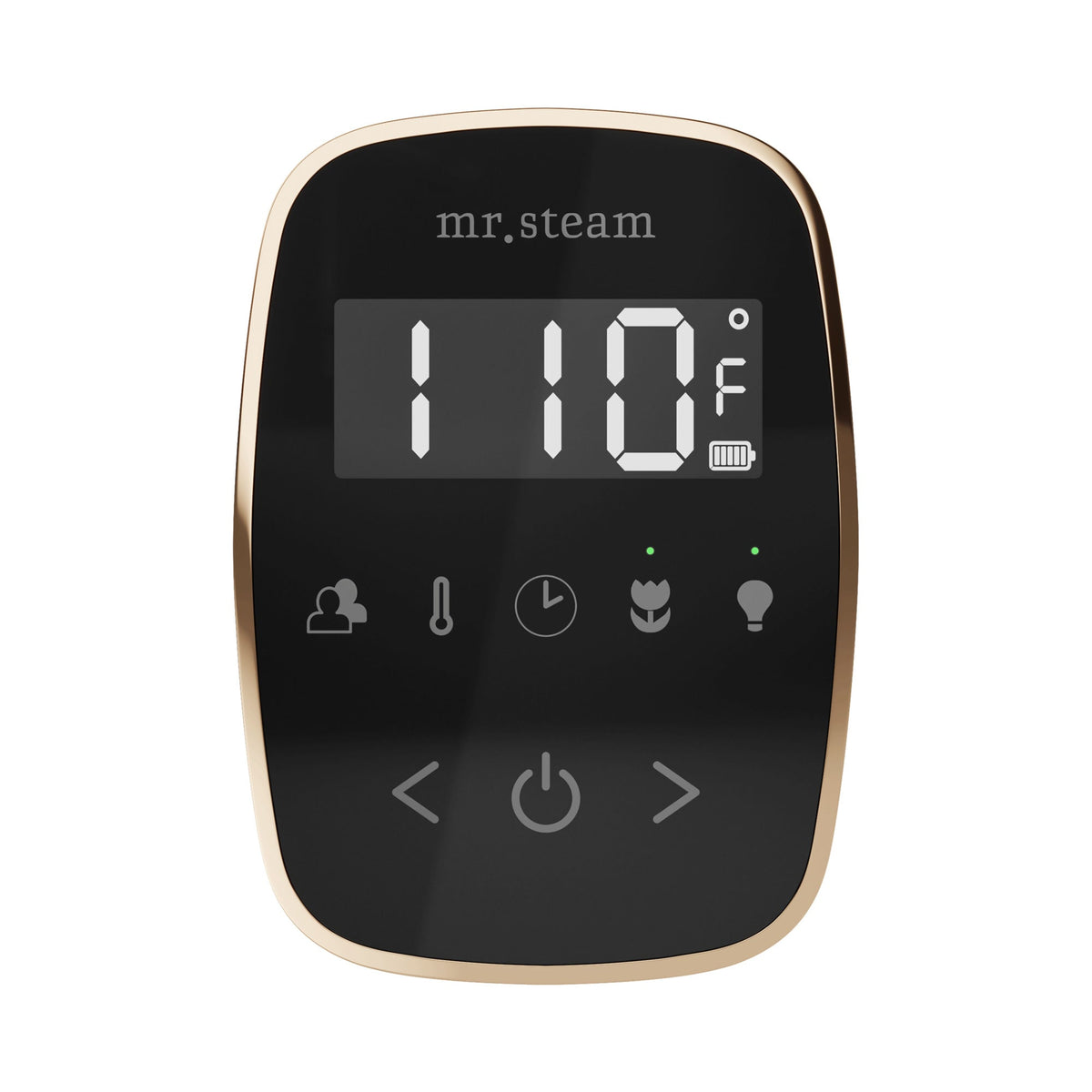Mr. Steam TempoFlex Wireless Steam Shower Control and Steamhead – Black Control, 8 Steamhead Finishes