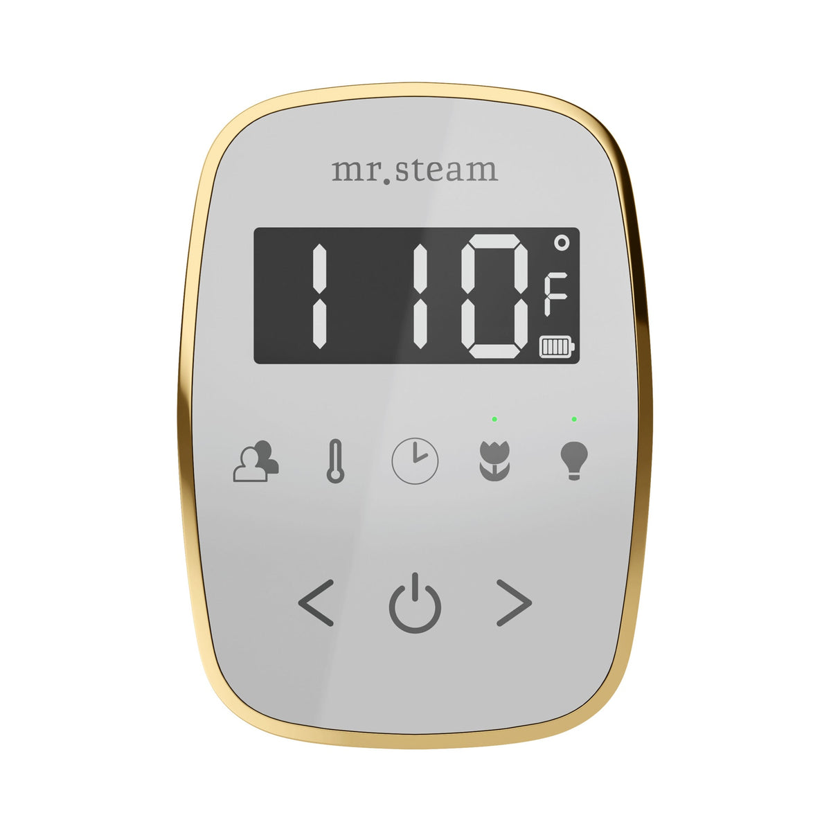 Mr. Steam TempoFlex Wireless Steam Shower Control and Steamhead – White Control, 8 Steamhead Finishes