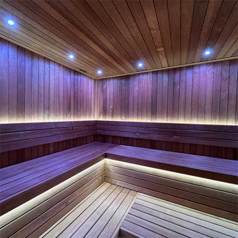 PROSAUNAS Universal Sauna Light Kit with 16-Ft Flexible LED Strip