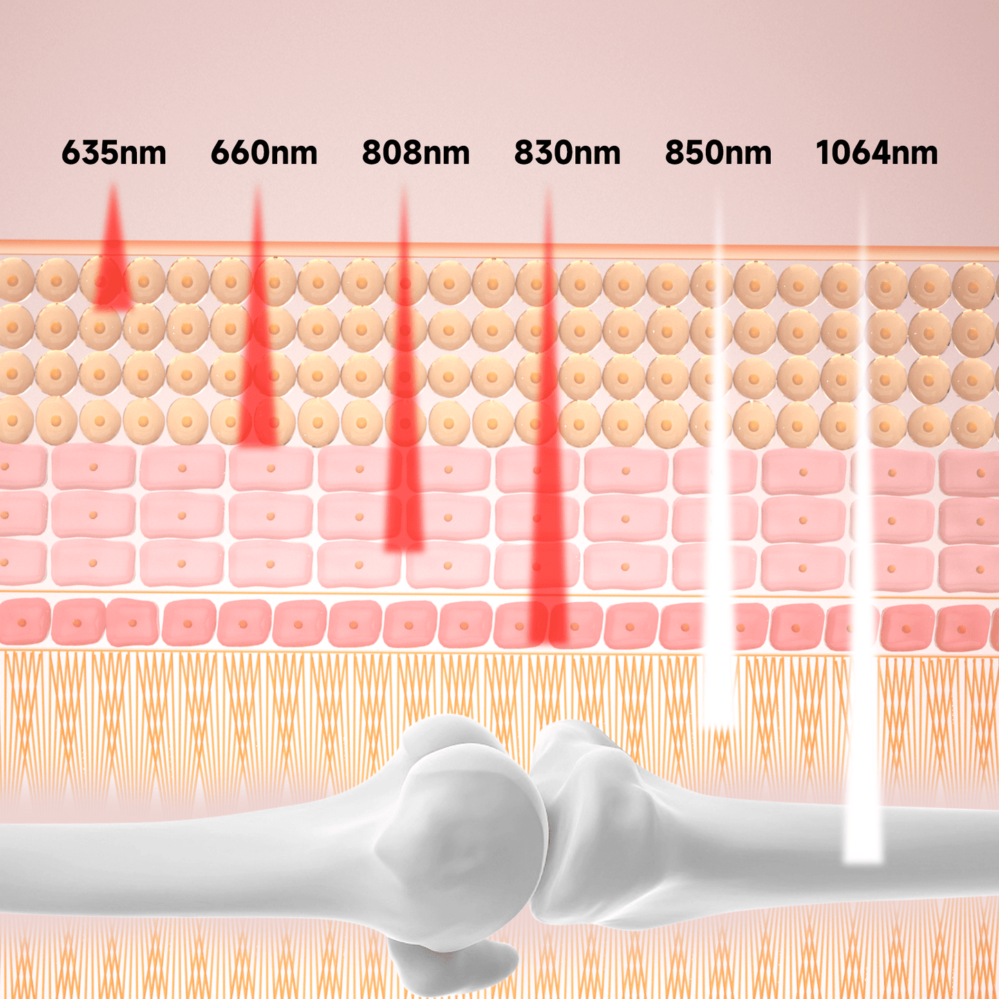 Lumyhealth Multi-Spectrum Red Light Therapy Pad