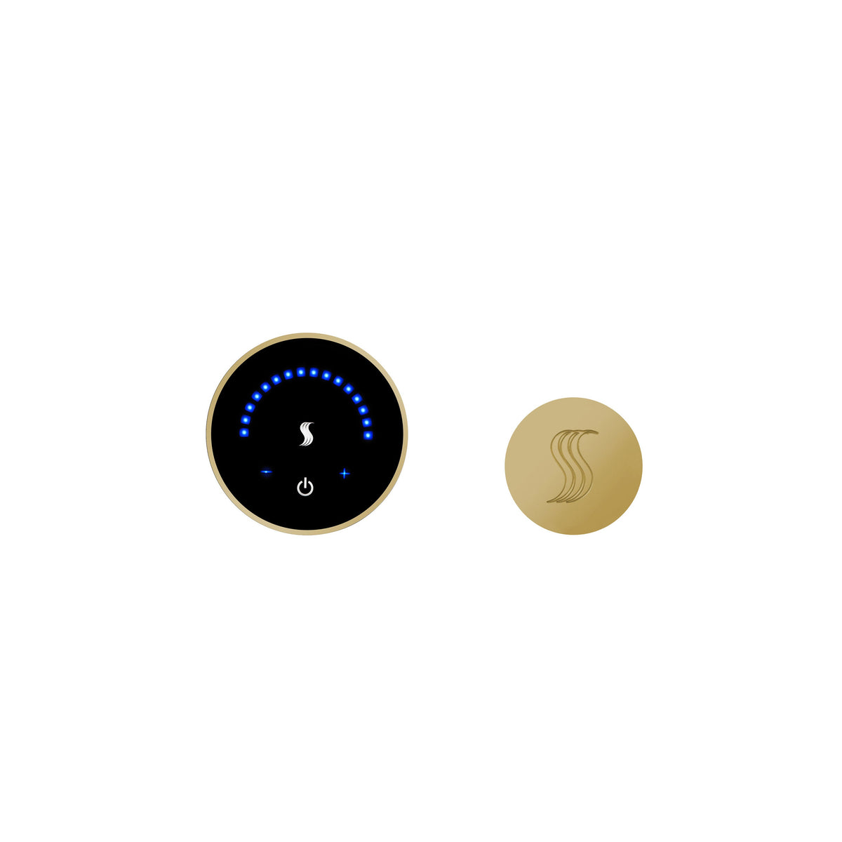 Thermasol MTC-SVRD MicroTouch Wall-Mount Control & Round Steam Head Kit